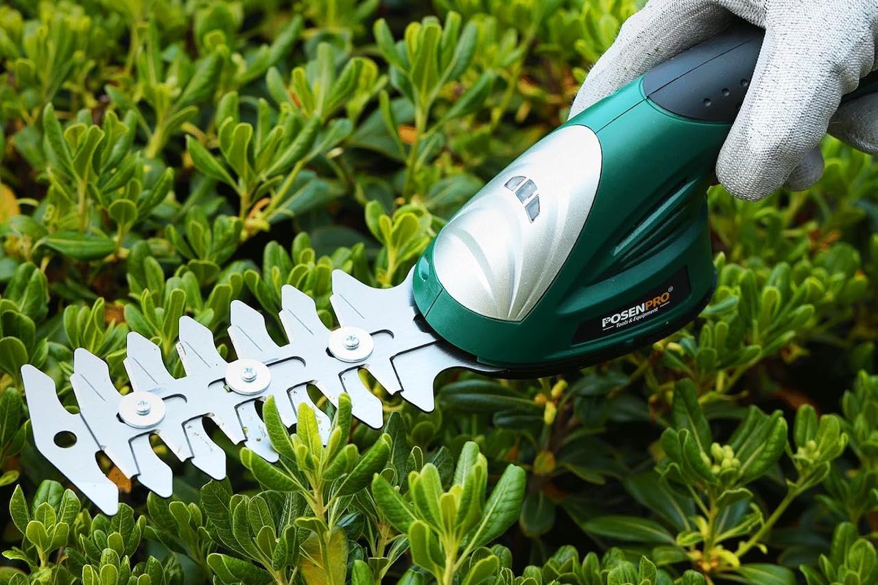 Zoom sur un sculpte-haie.